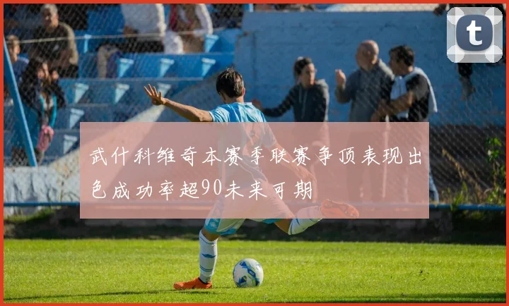 武什科维奇本赛季联赛争顶表现出色成功率超90未来可期