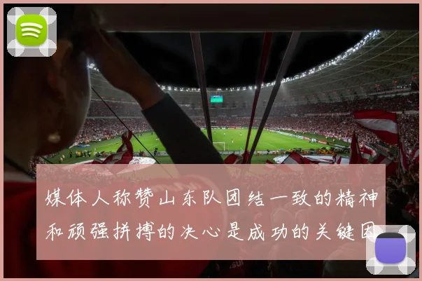 媒体人称赞山东队团结一致的精神和顽强拼搏的决心是成功的关键因素