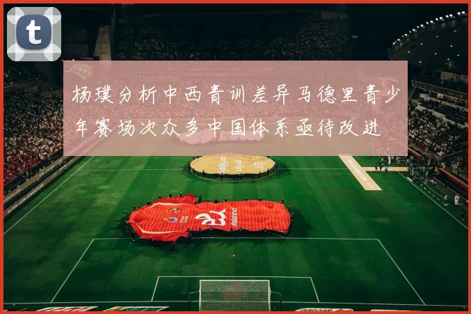 杨璞分析中西青训差异马德里青少年赛场次众多中国体系亟待改进