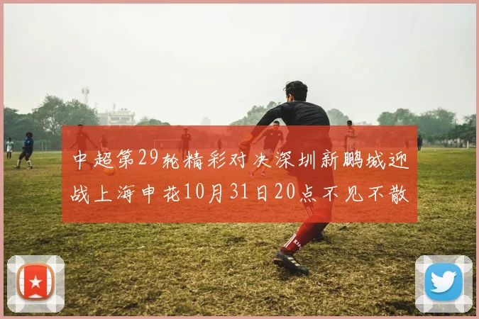 中超第29轮精彩对决深圳新鹏城迎战上海申花10月31日20点不见不散
