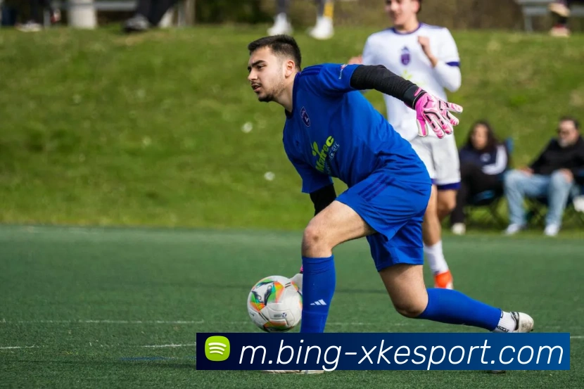 星空电竞平台生态图