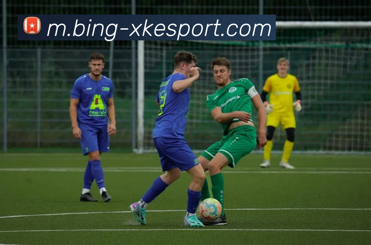 星空电竞APP 封面图